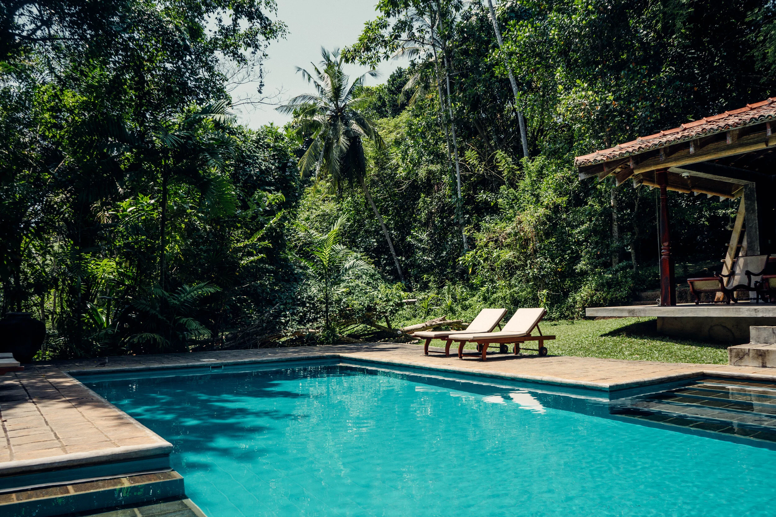 A swimming pool with two lounge chairs beside it, surrounded by lush green tropical trees and vegetation, with a covered patio area in the background.