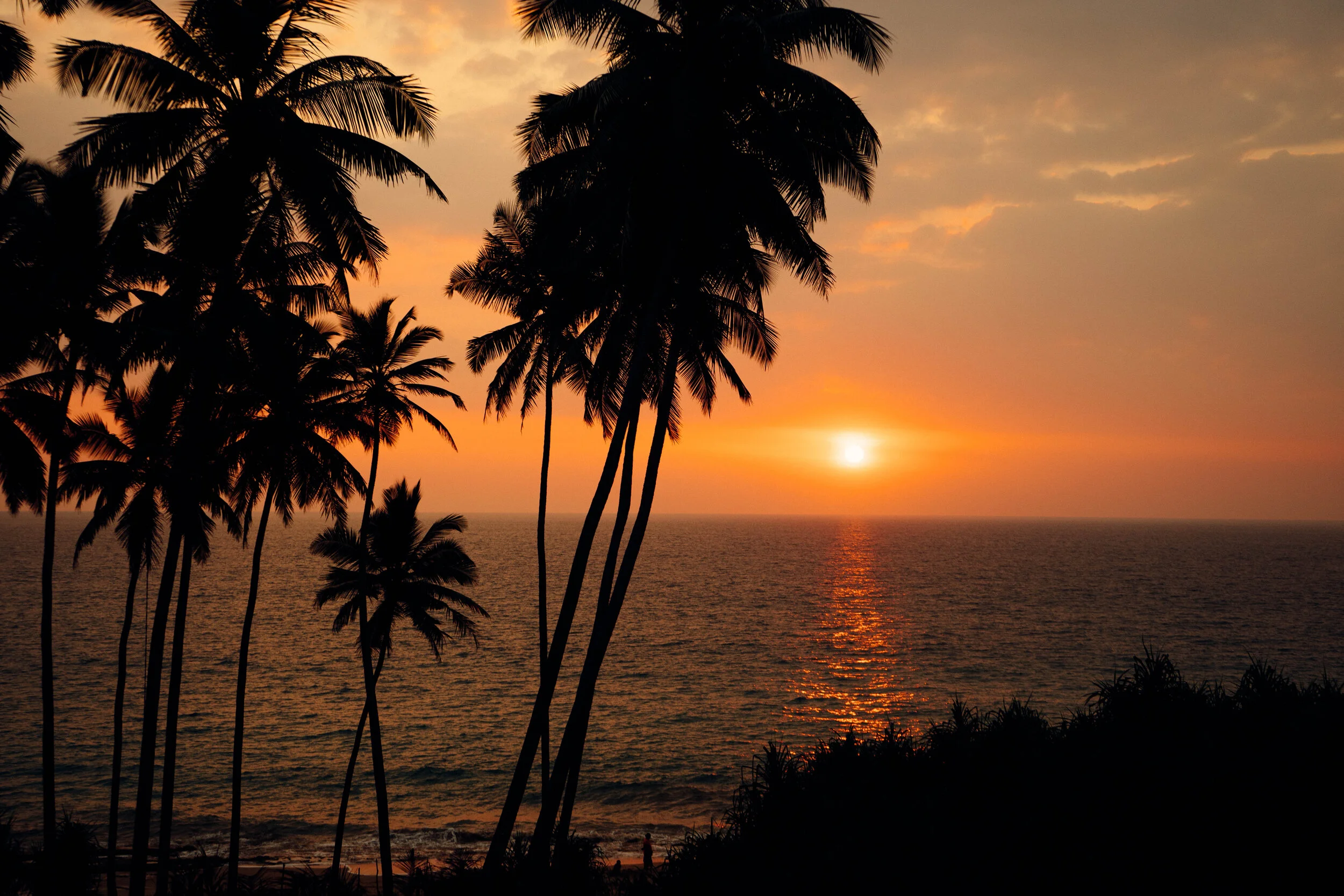 Sunset over the ocean with silhouettes of palm trees in the foreground.