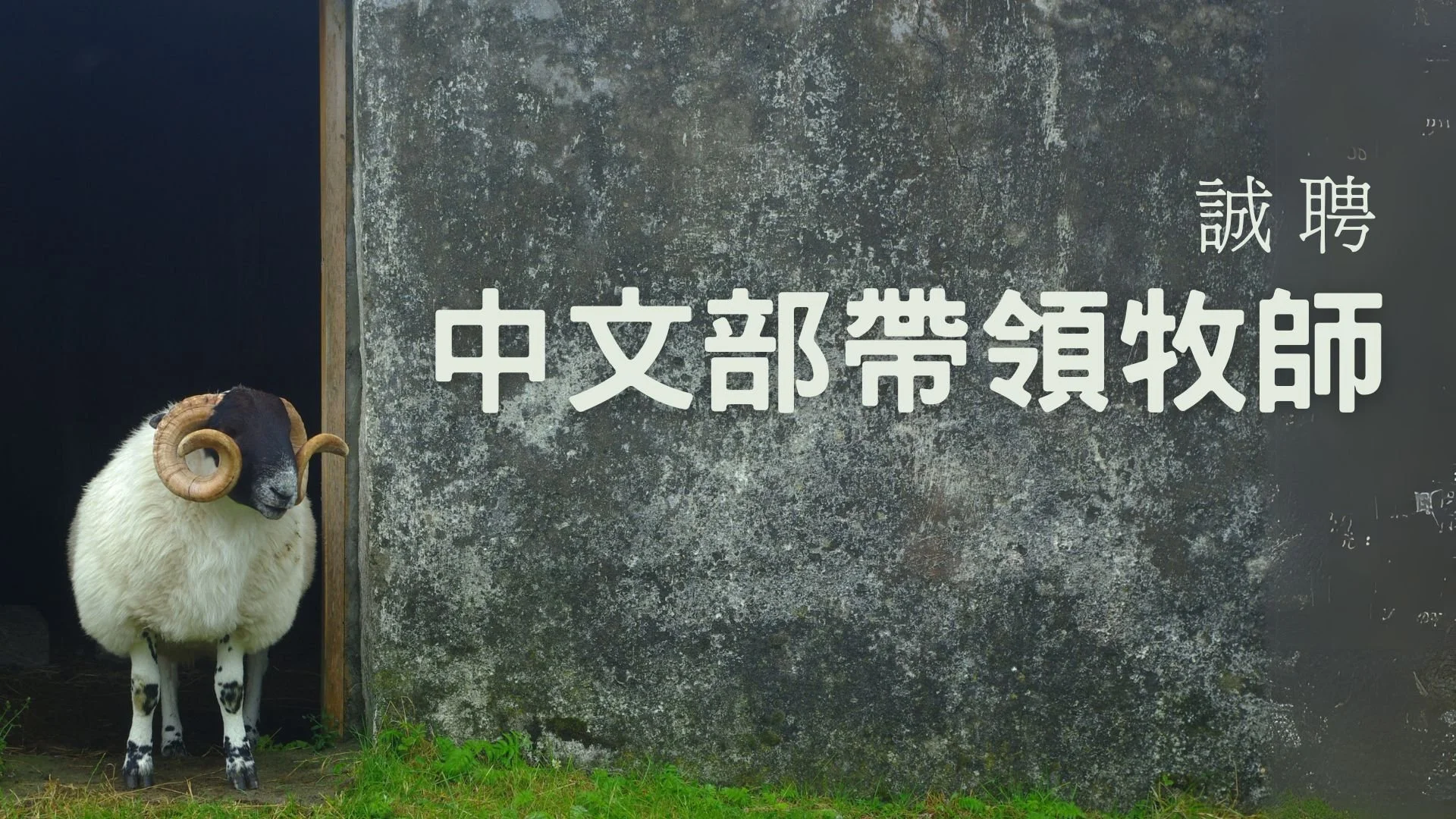 誠聘中文部帶領牧師