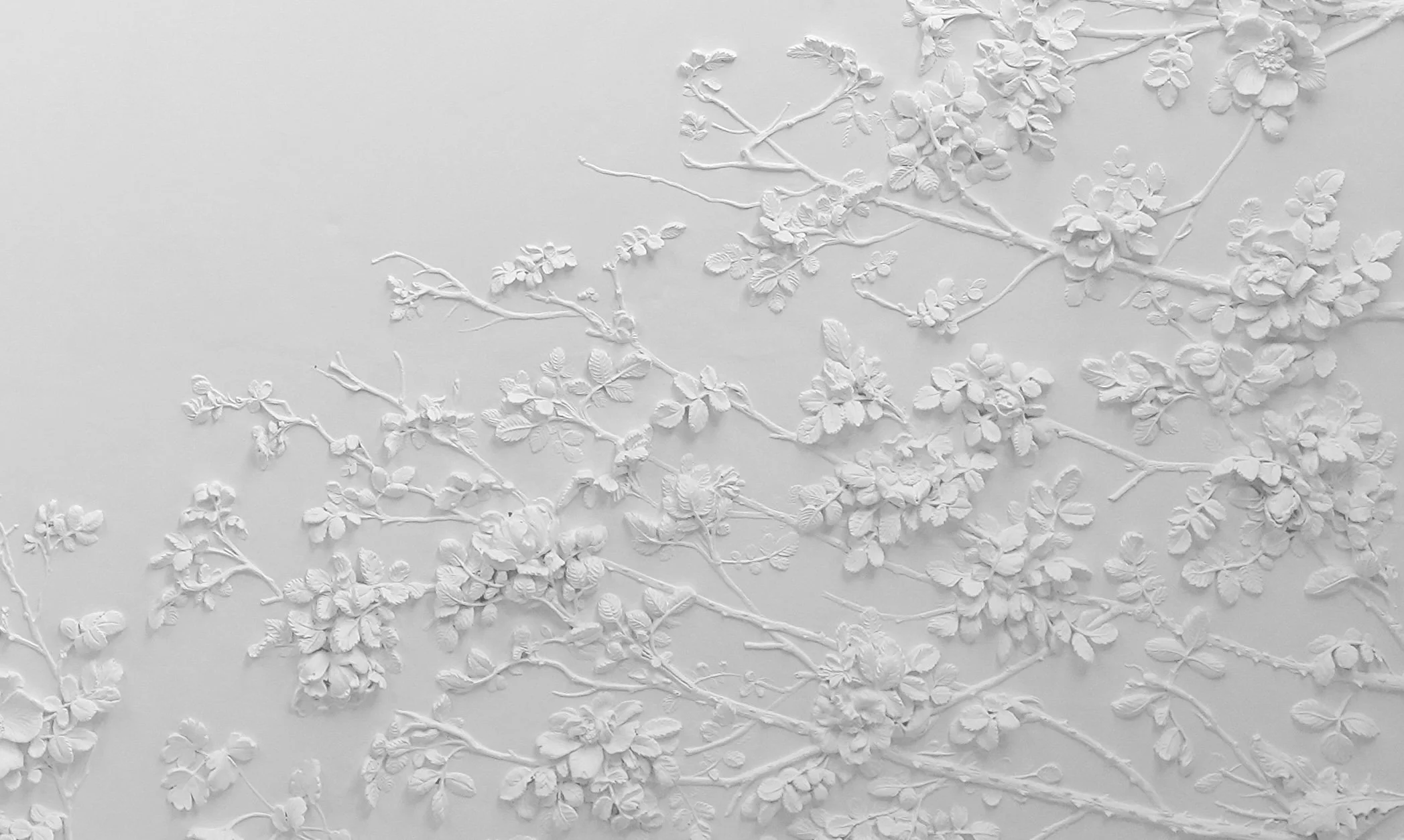 til hjemmeside CPA04969-high copy 2zzz.jpg