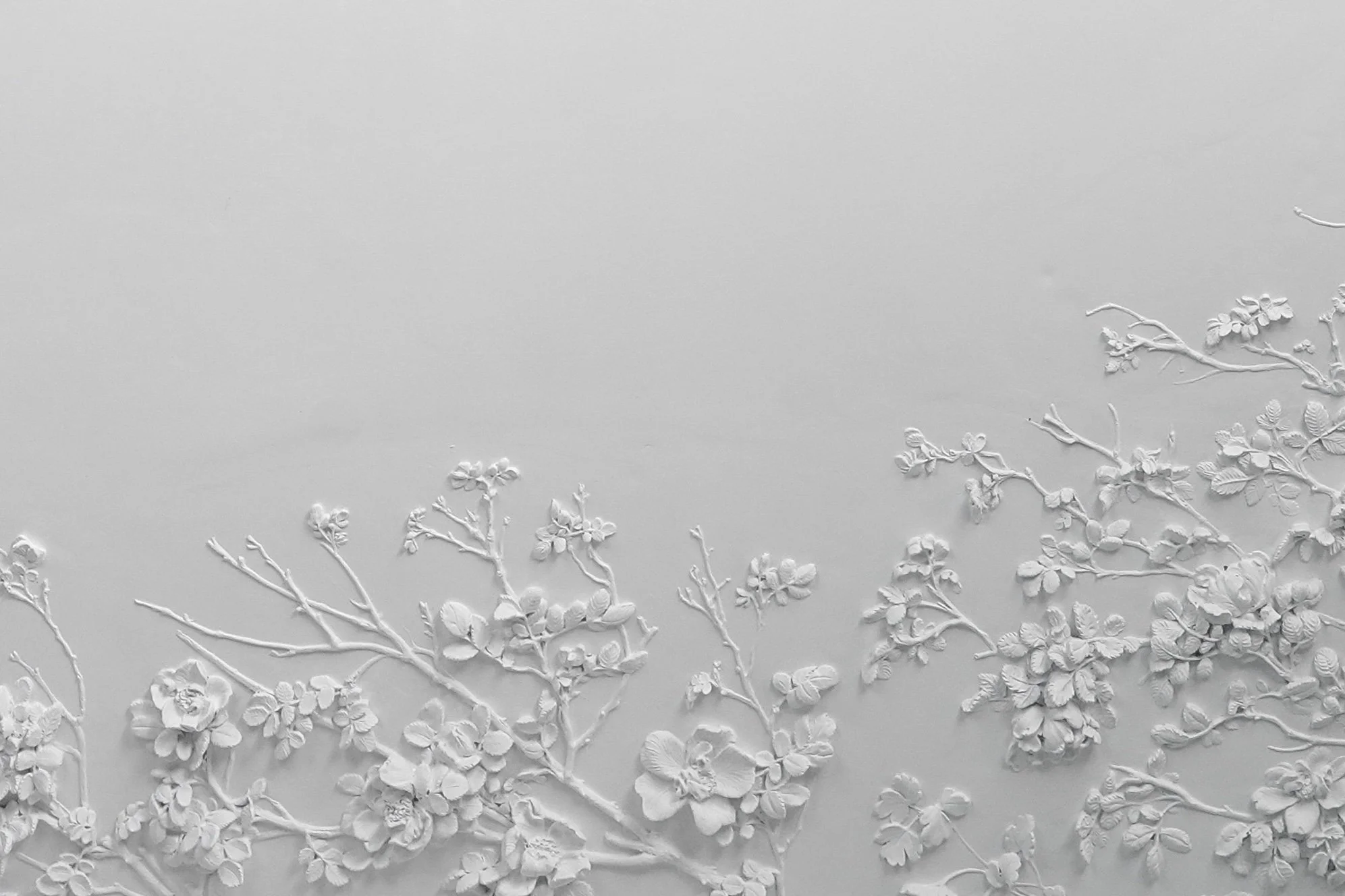 til hjemmeside CPA04969-high copy 3.jpg