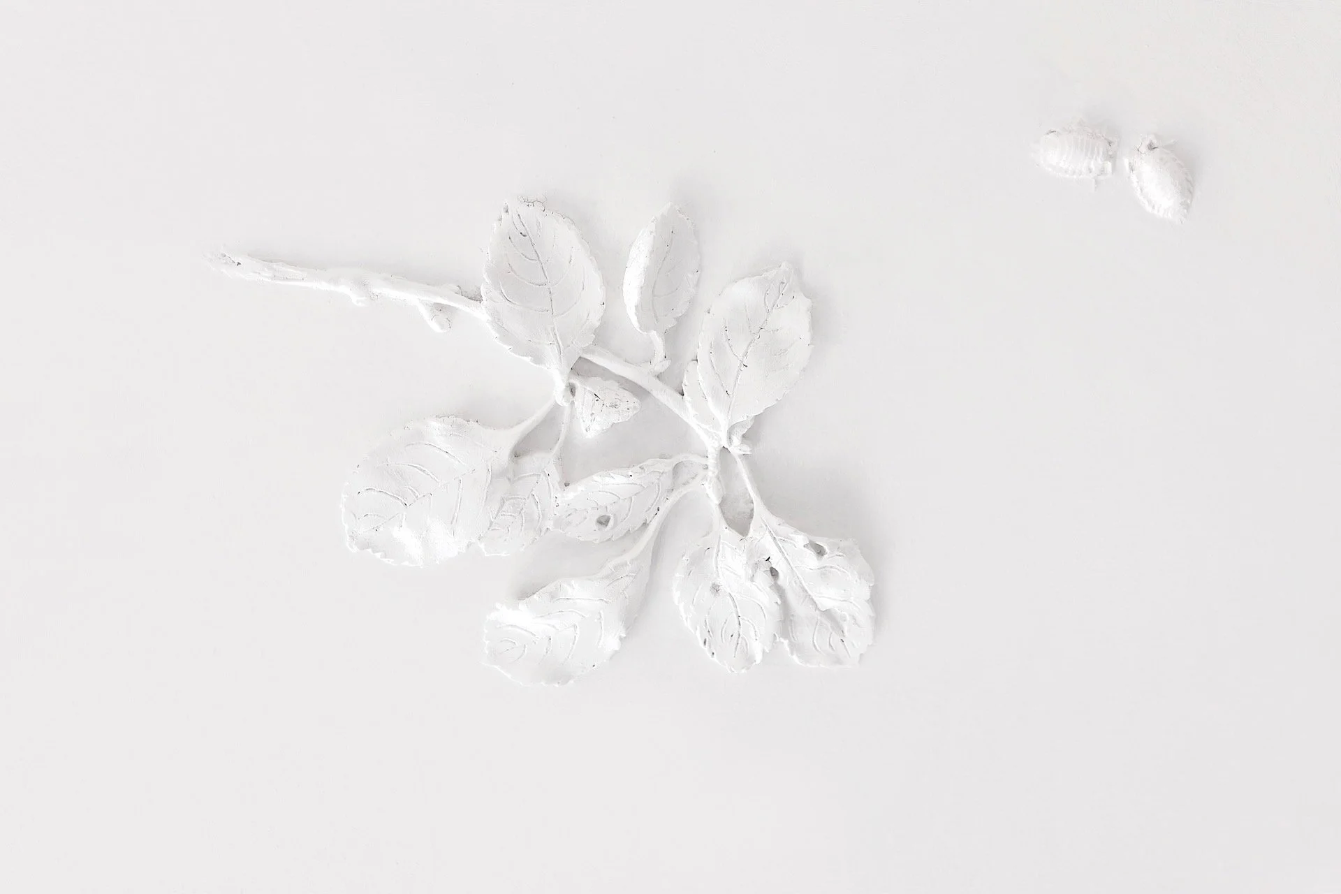 sensommer æble6.jpeg