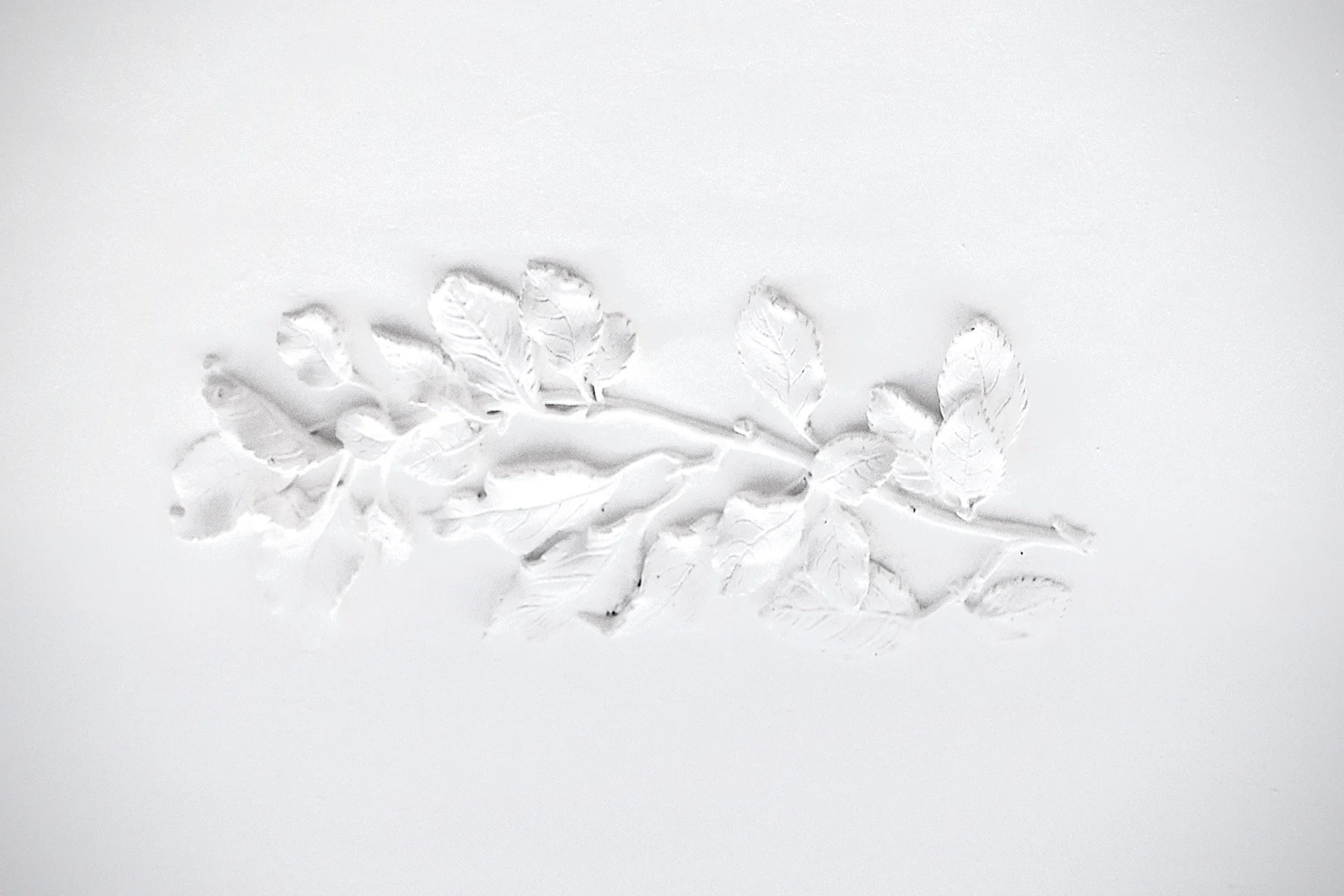 sensommer æble5.jpeg