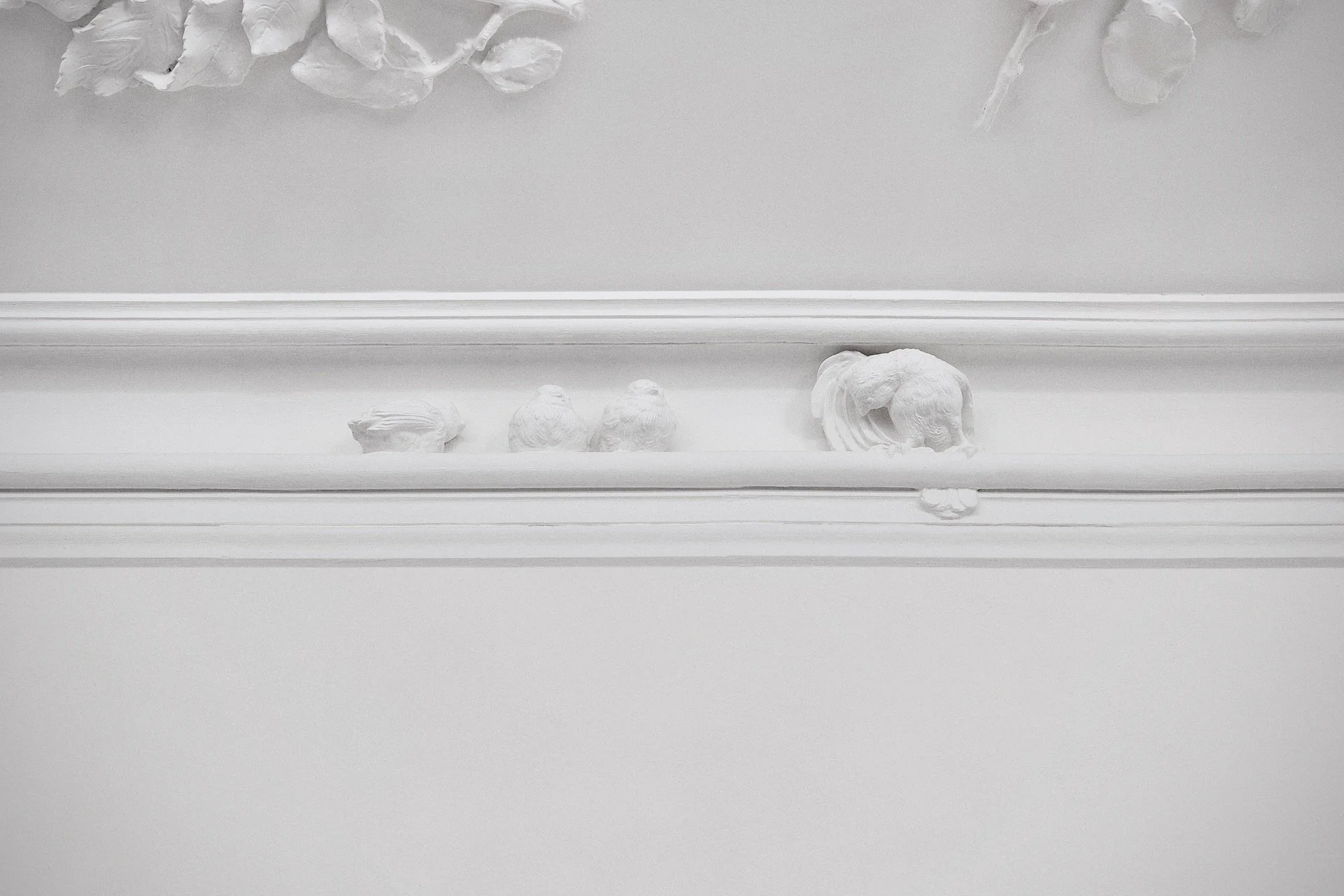 fugle i gesims 1.jpeg