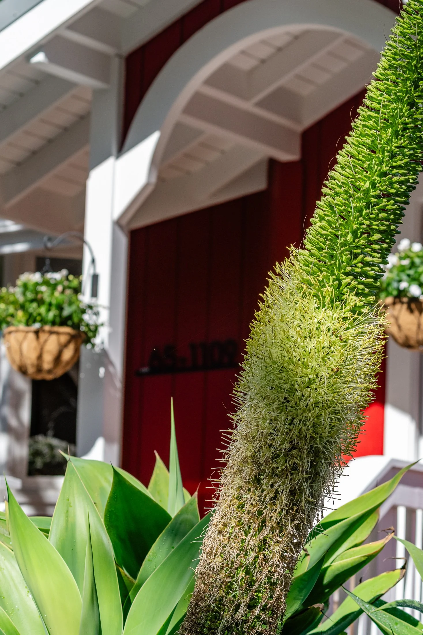 65-1109 Ehiku Pl-10.jpg