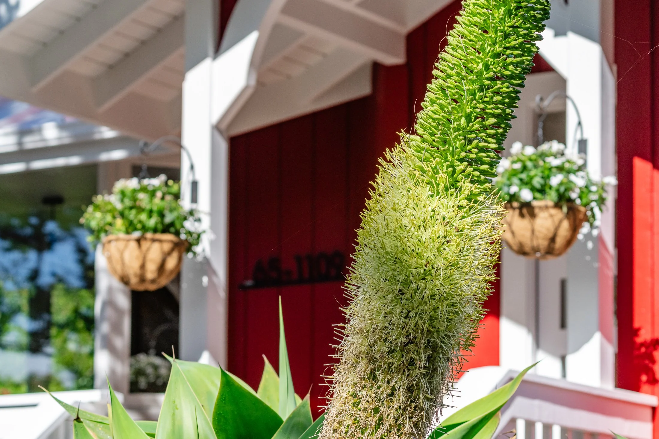 65-1109 Ehiku Pl-9.jpg