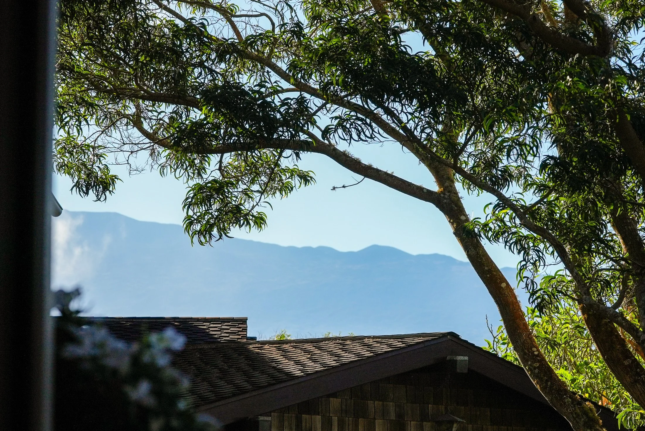 65-1109 Ehiku Pl-56.jpg