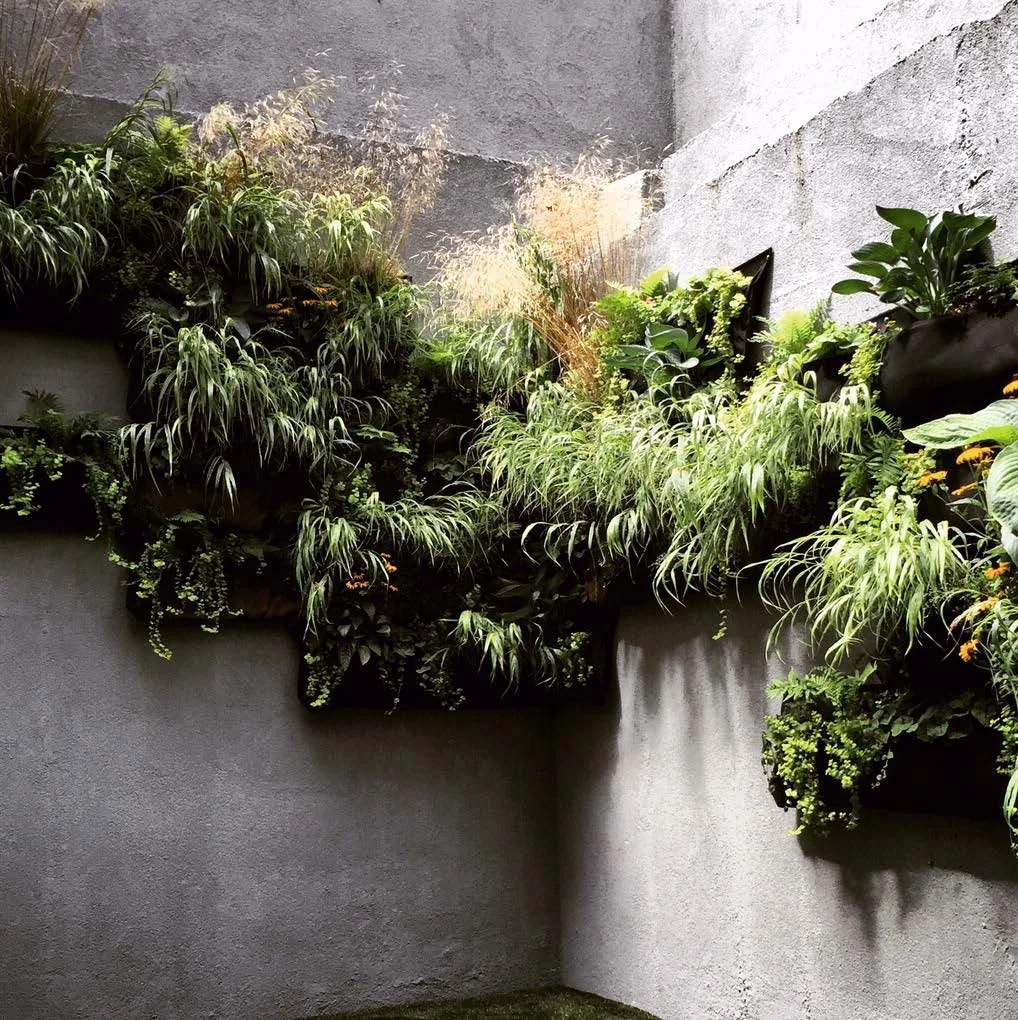 2021_PROJECT PLANT PORTFOLIO--05.jpg