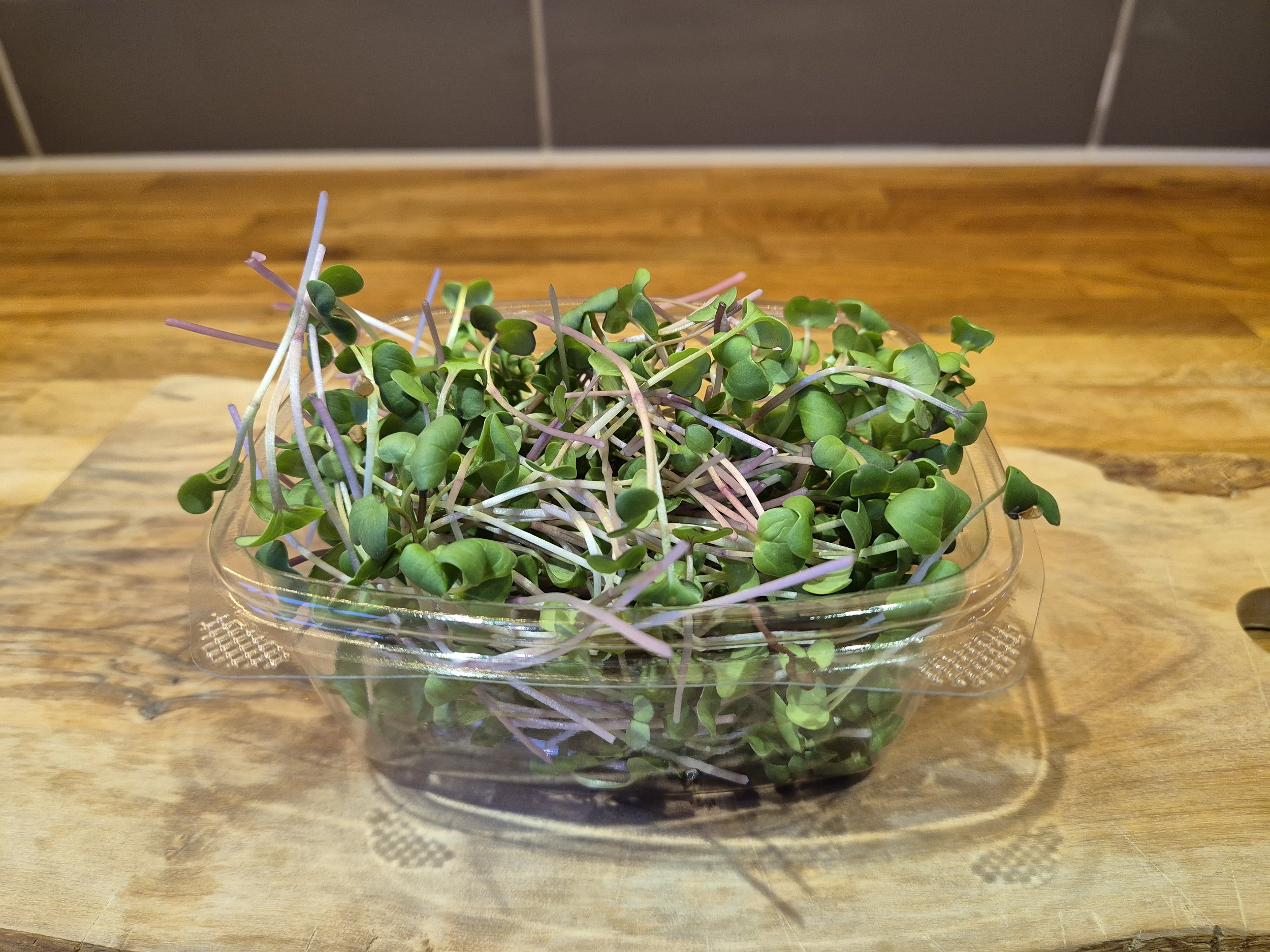 Radish "China Rose" 40gm