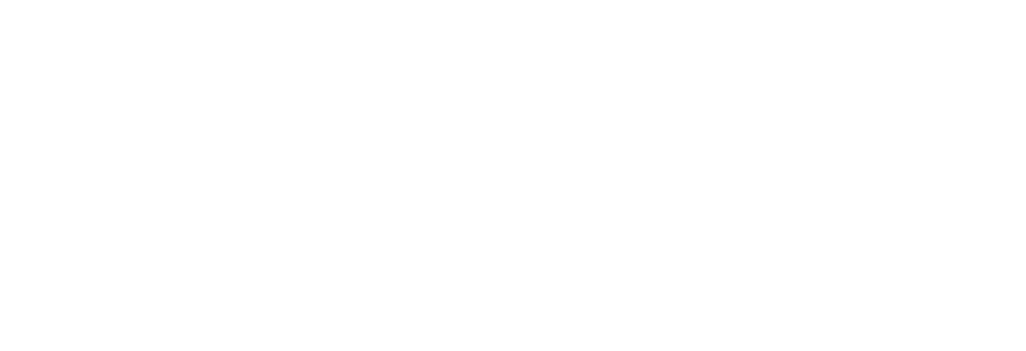 ASHLEY  GRAMINS TRAVEL