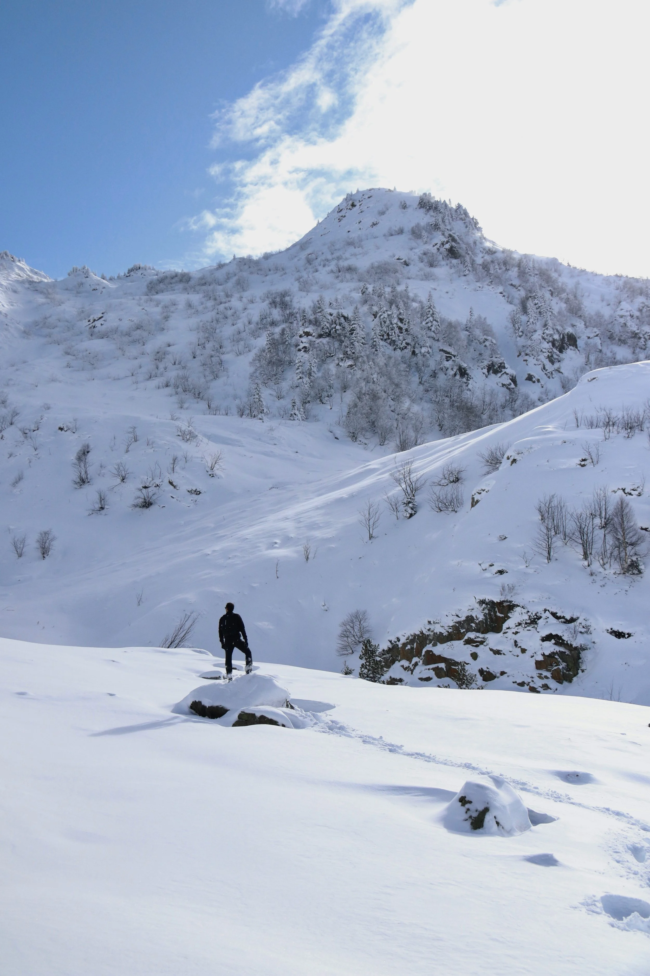Person hiking in snowy mountain landscape with snow-covered trees and peaks under a partly cloudy blue sky.
