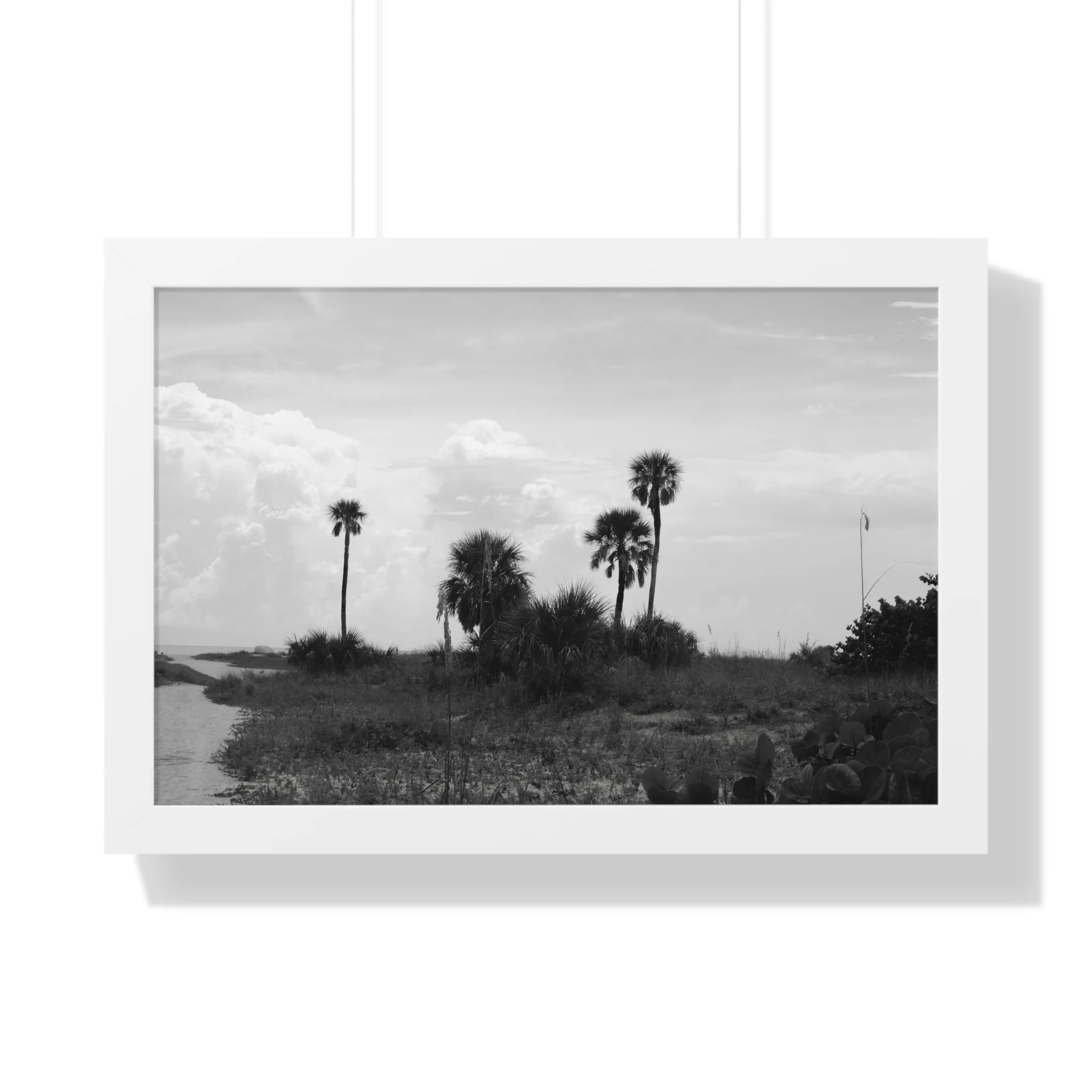 Black and white photo of a landscape with palm trees, a dirt path, and clouds in the sky.
