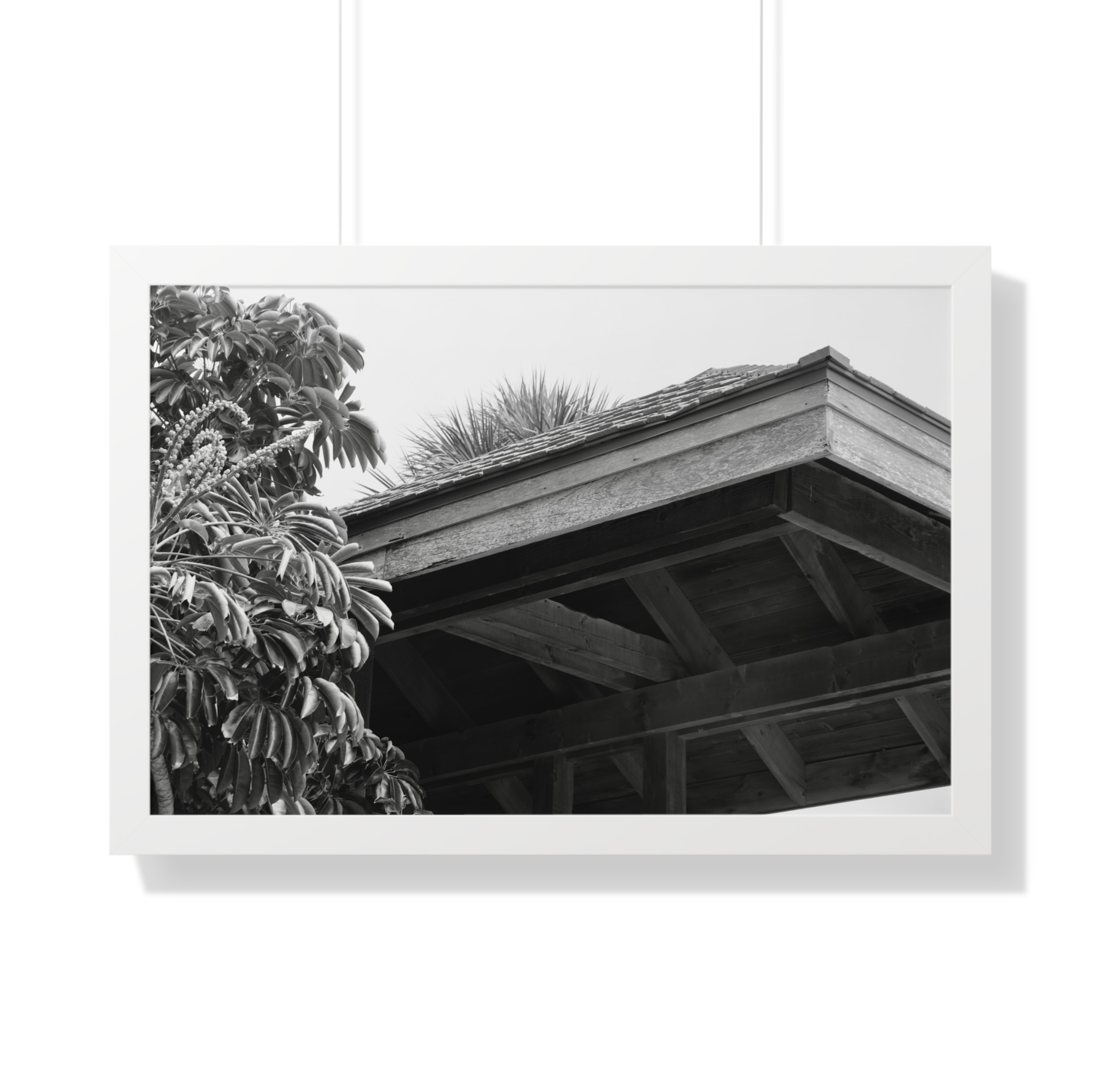 Framed gazebo print for sale