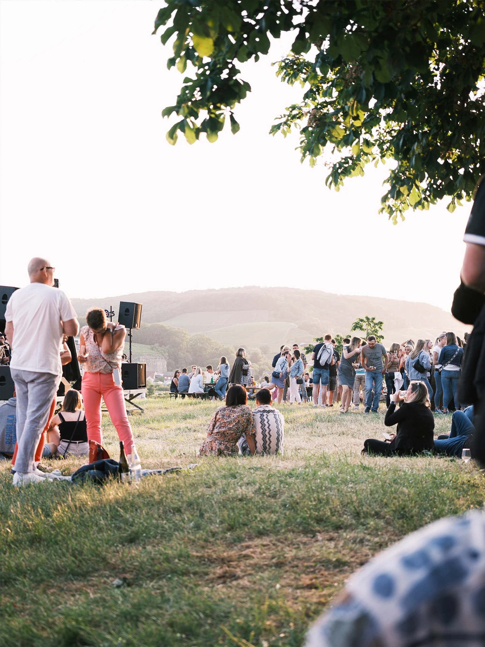 Weinfest bei Sonnenuntergang mit Menschen auf der Wiese und Blick über die Weinberge.