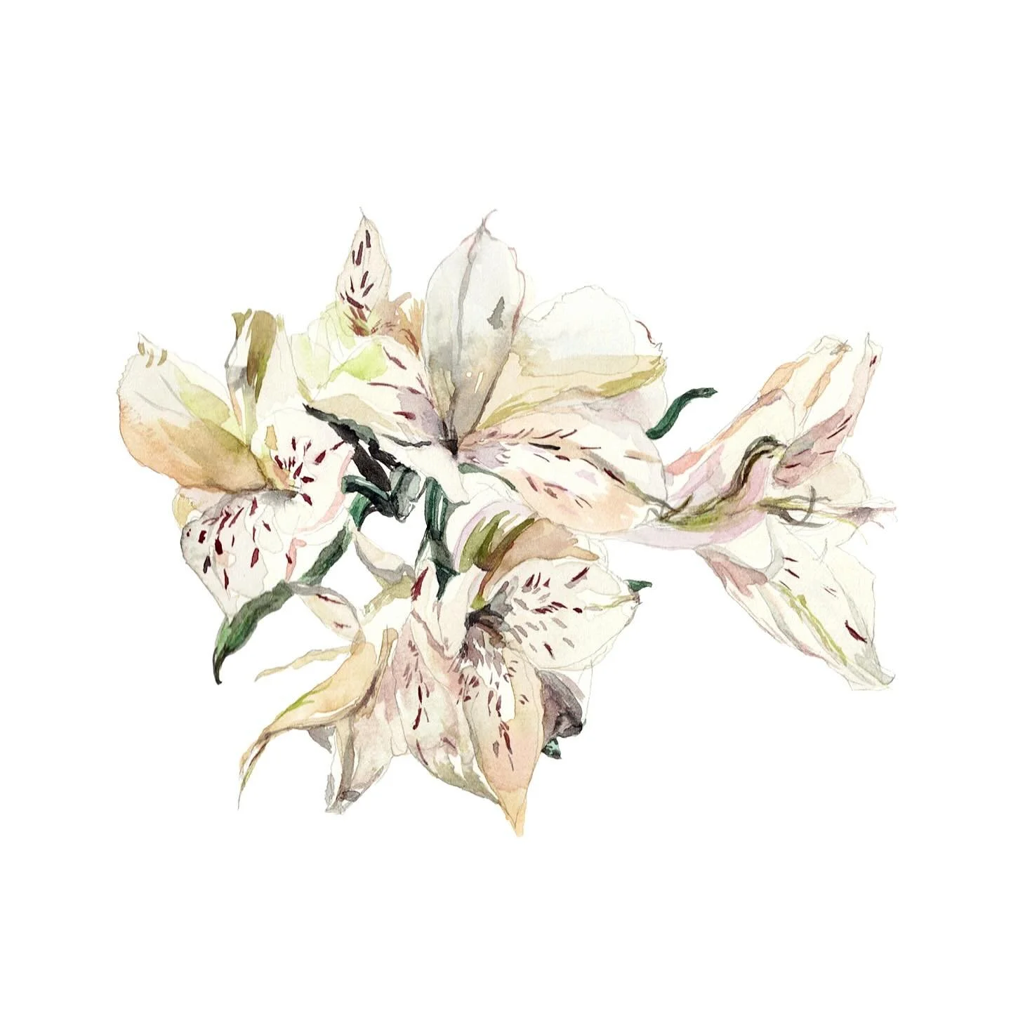 Though beauty is fleeting, I can preserve it on paper, and in this moment, our souls resonate.
-sisiloveart