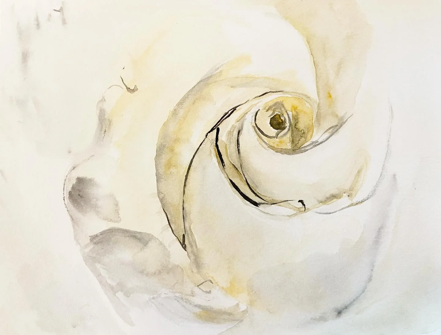 Because I love floral, I&rsquo;m drawn to the delicate grace and vibrant life of every bloom.
#art #artistoninstagram #painting