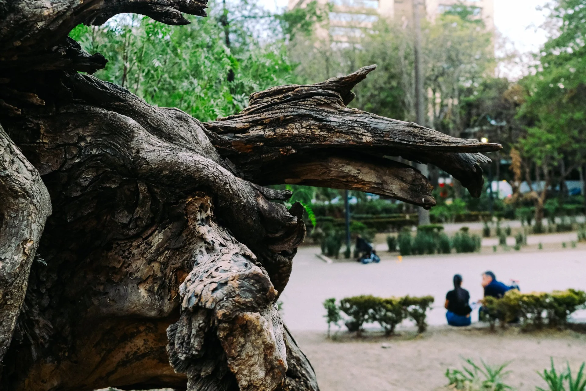 cdmx-2024-dia-5-62.jpg