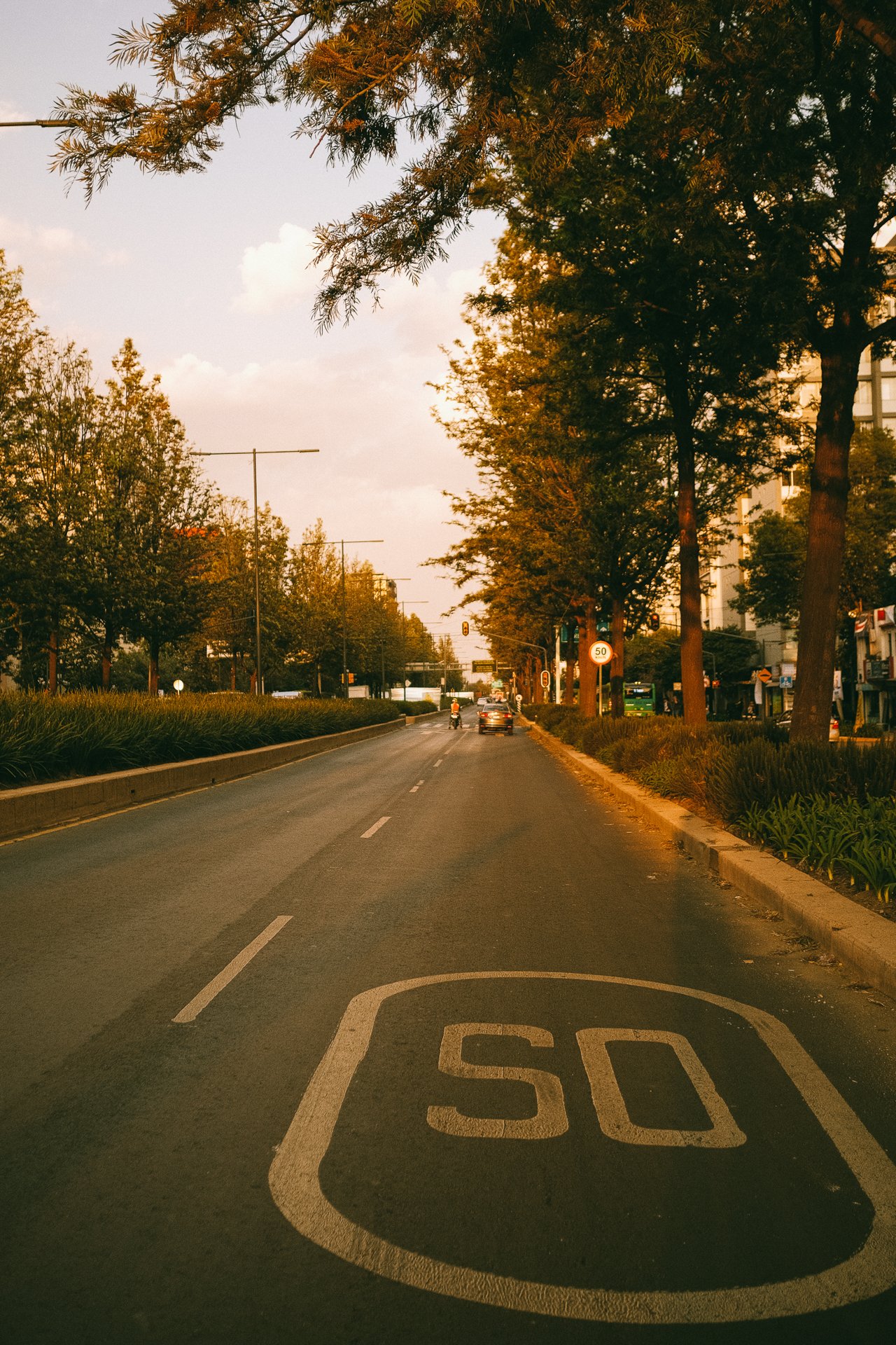 cdmx-2024-dia-1-56.jpg