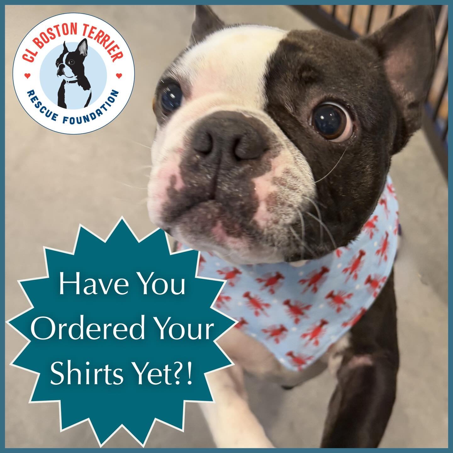 We Are SO CLOSE In Meeting Our Goal‼️‼️‼️‼️Just 10 More T-Shirts 👚👕Will Make It Happen‼️👚👕
Get Your 2026 CLBTRF T Shirt👕👚And Help A Boston In Need‼️🩵🩷🩵🩷 Only 4 Days Left‼️🩷👕🩵👚🩷 Link to purchase: https://www.customink.com/fundraising/cl