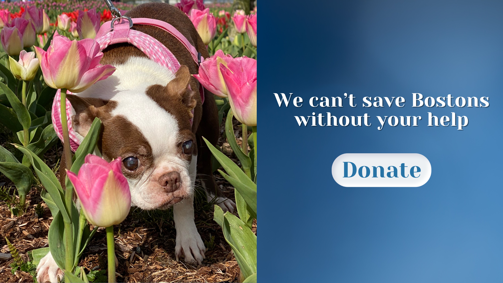 Header Banner for Blog (1920 x 1080 px).png