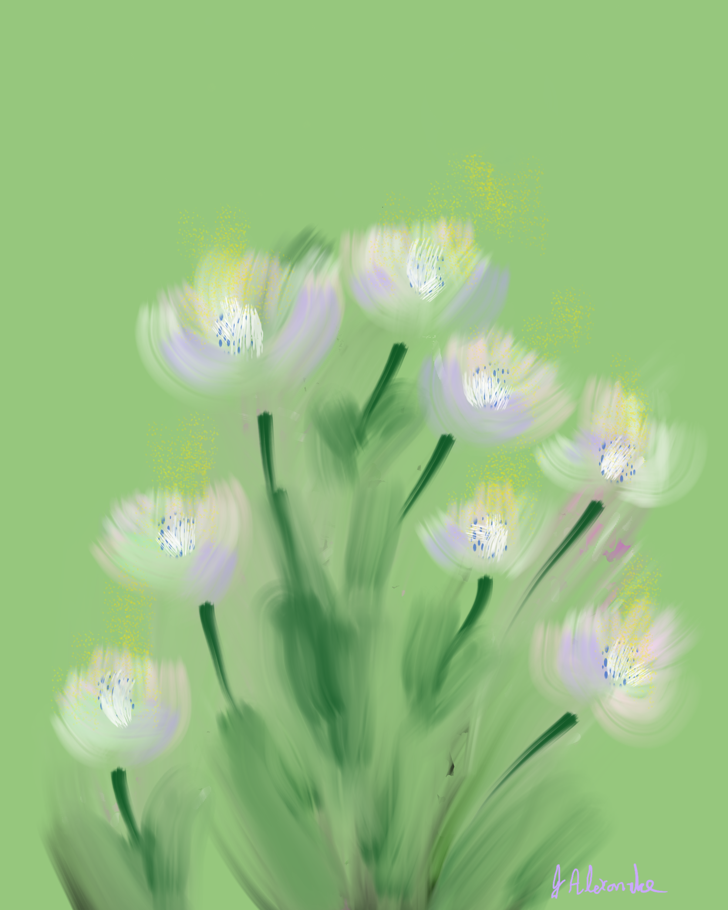 Spring Whisper Blooms