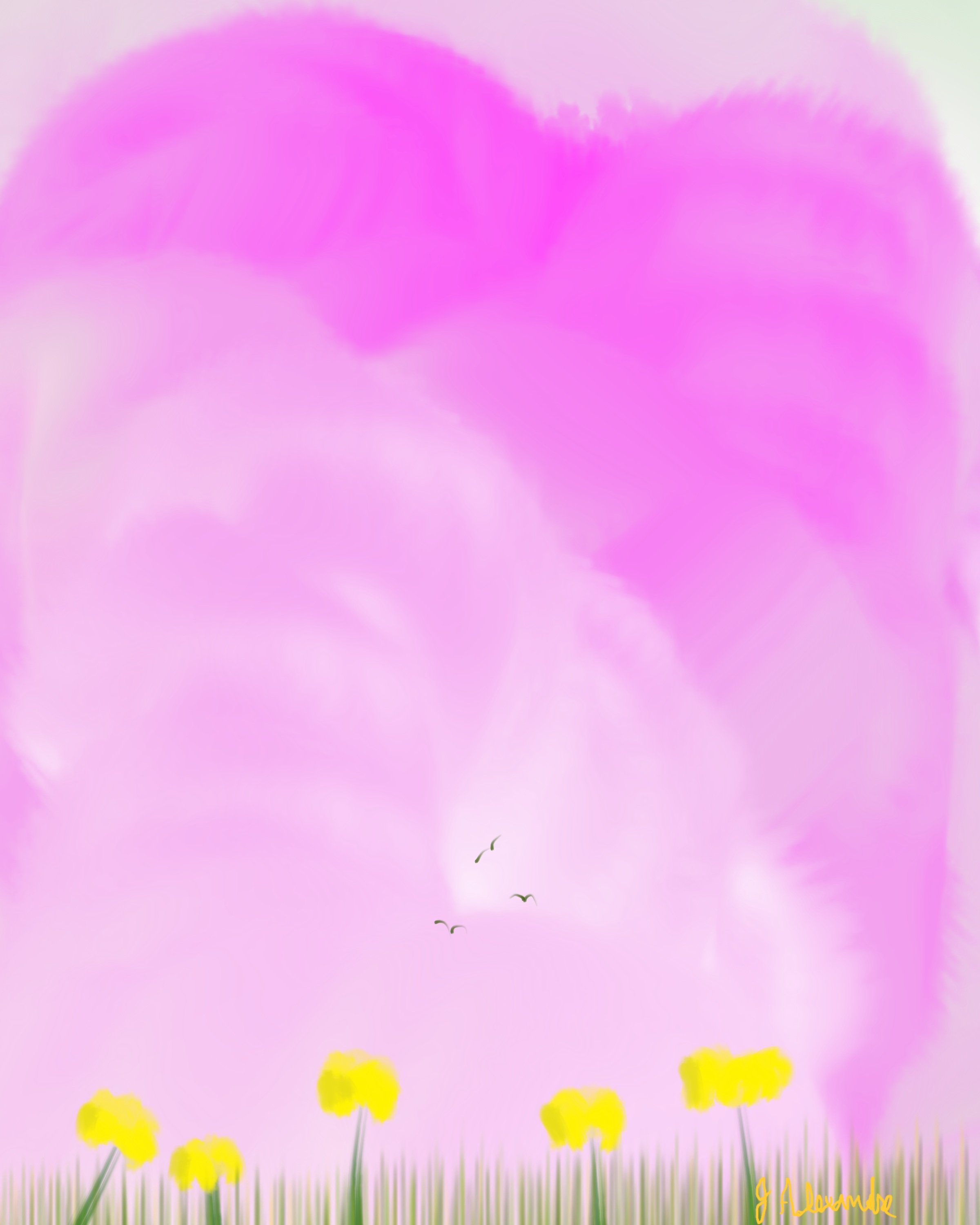 Dandelion Dreams