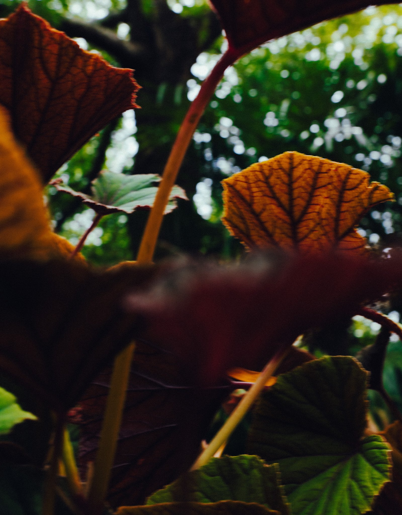 L1090031.jpg