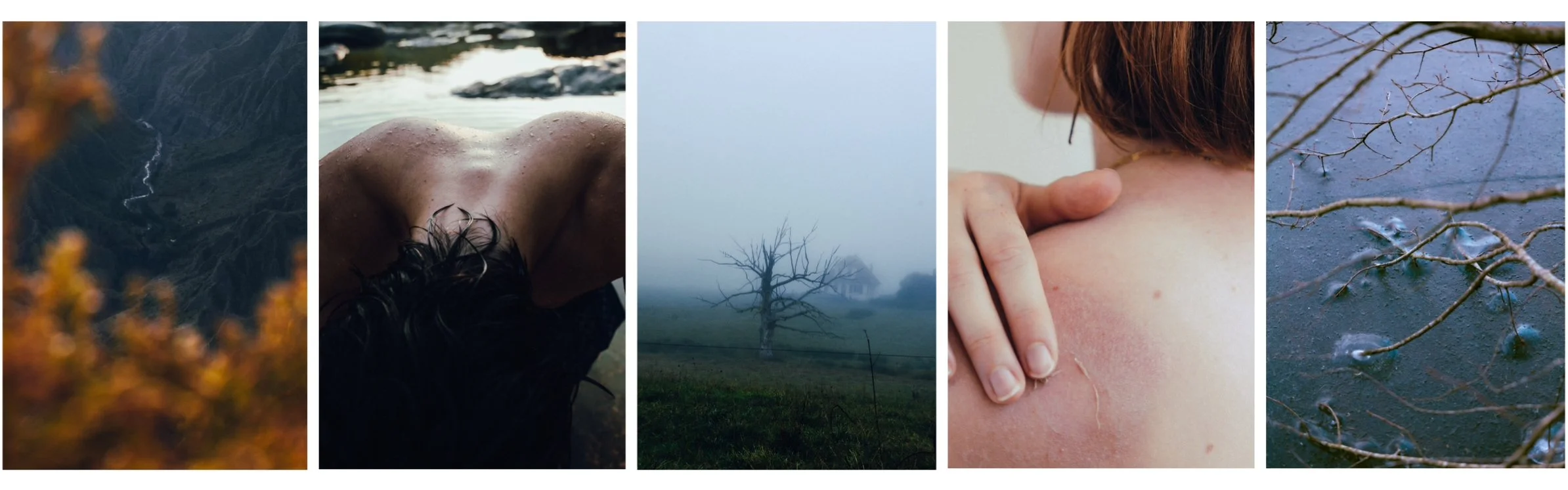 Afficher les photos récentes.jpeg