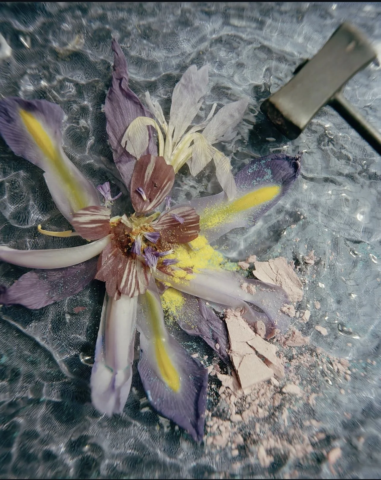 "Depuis l'Antiquité, les fleurs ont toujours été les matériaux idéaux pour que les femmes créent habilement du maquillage et prennent soin de leur peau. Les fleurs fleurissent et se fanent en leur temps, mais ce n'est qu'en préservant cette beauté ép