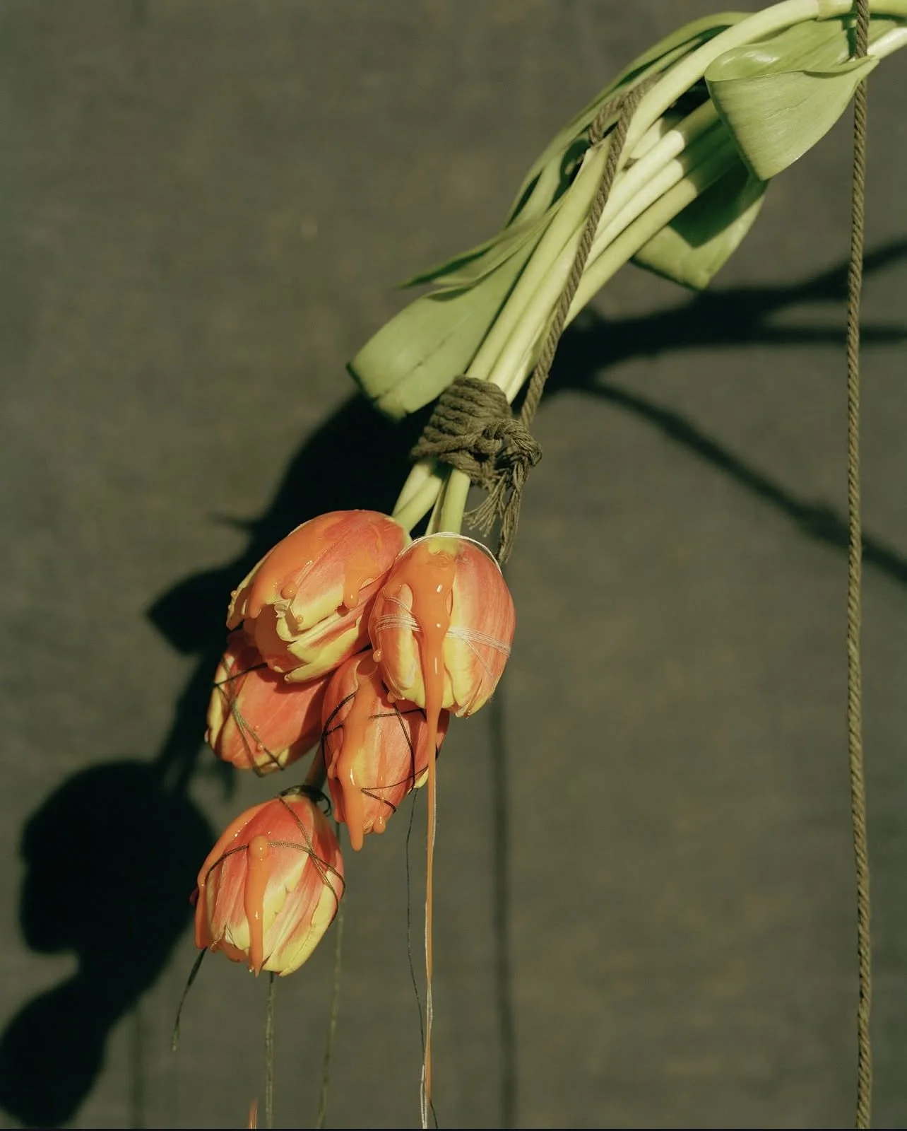 "Depuis l'Antiquité, les fleurs ont toujours été les matériaux idéaux pour que les femmes créent habilement du maquillage et prennent soin de leur peau. Les fleurs fleurissent et se fanent en leur temps, mais ce n'est qu'en préservant cette beauté ép