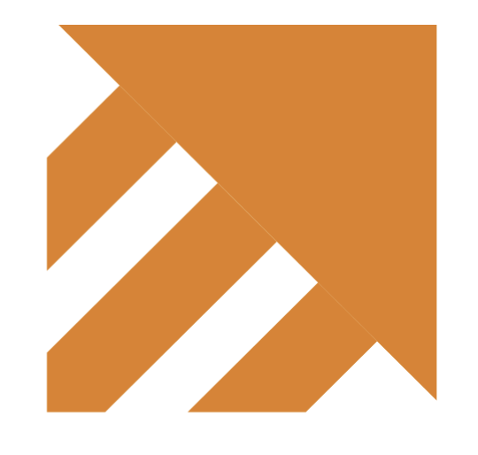 Just Detention International logo