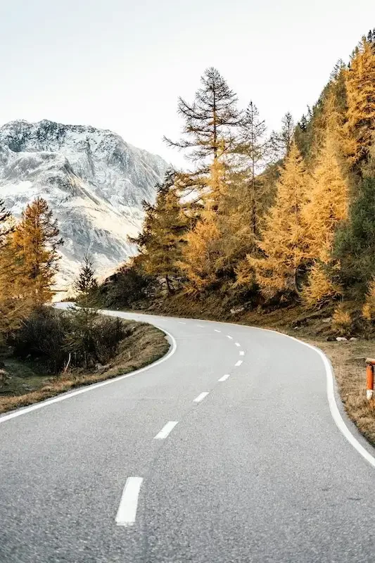 highway winding through trees and mountain