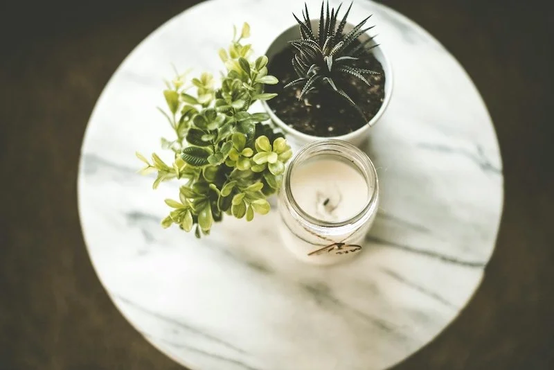 plant and a candle on a marble table from above