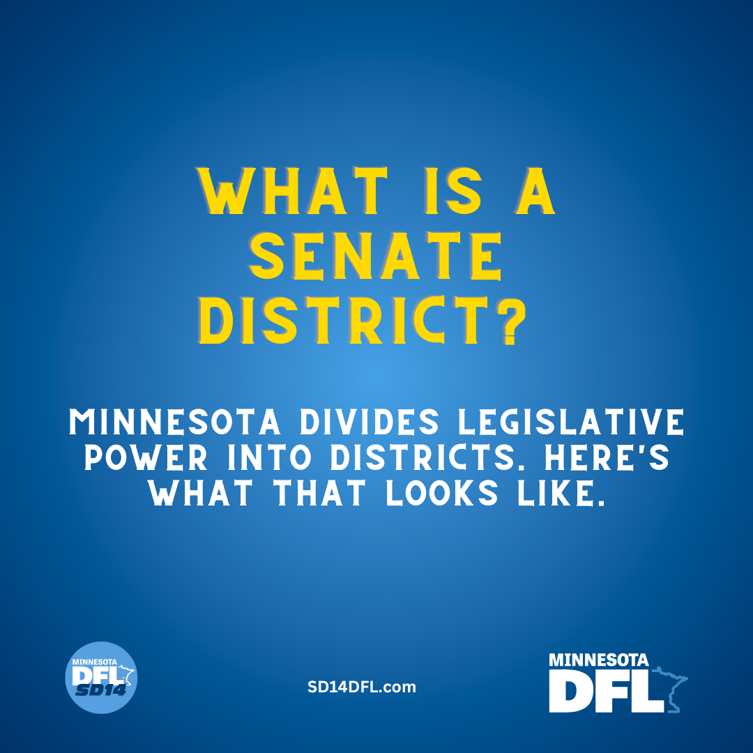 Minnesota politics: What is a senate district?