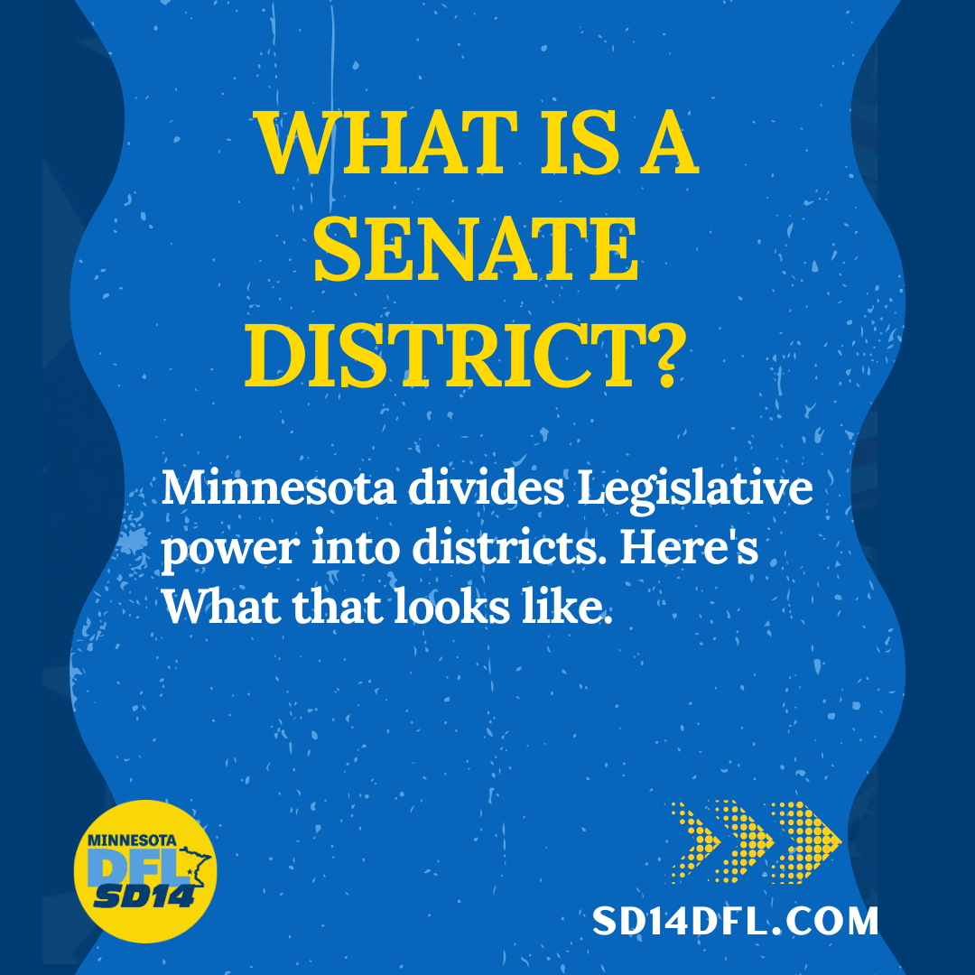 Minnesota politics: What is a senate district?