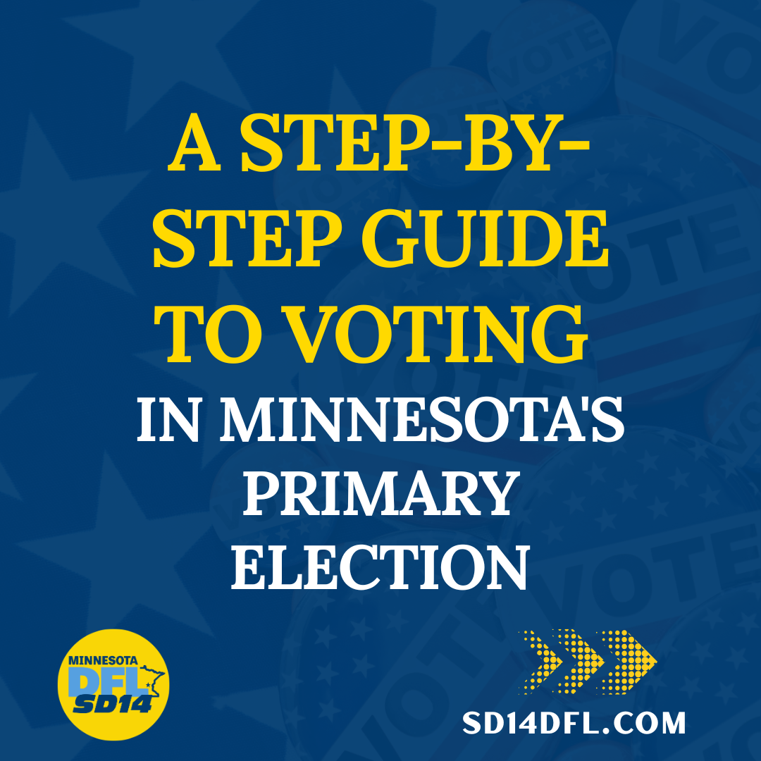 A step-by-step guide to voting in Minnesota's primary election