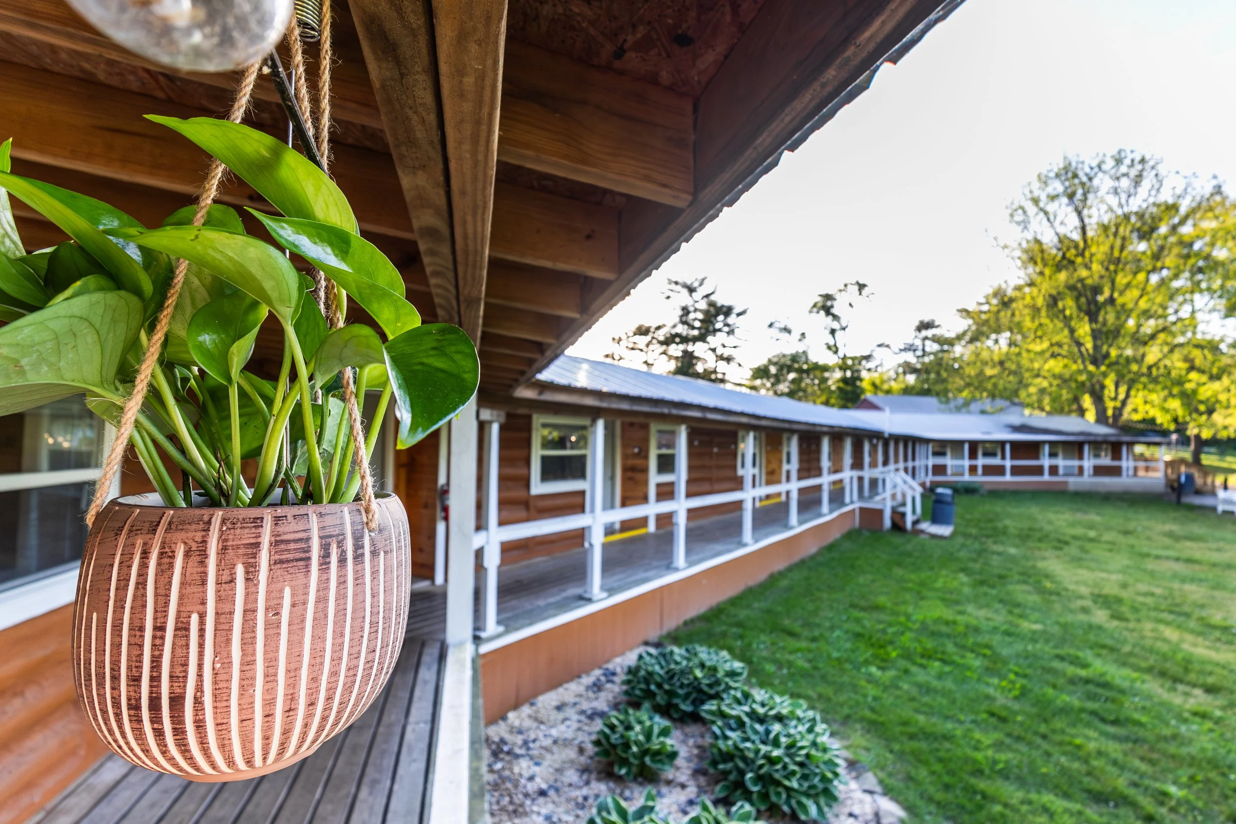 Showcation 2026 Cabins. Hanging potted plant with green leaves outside a wooden house with a porch, trees, and a grassy yard.