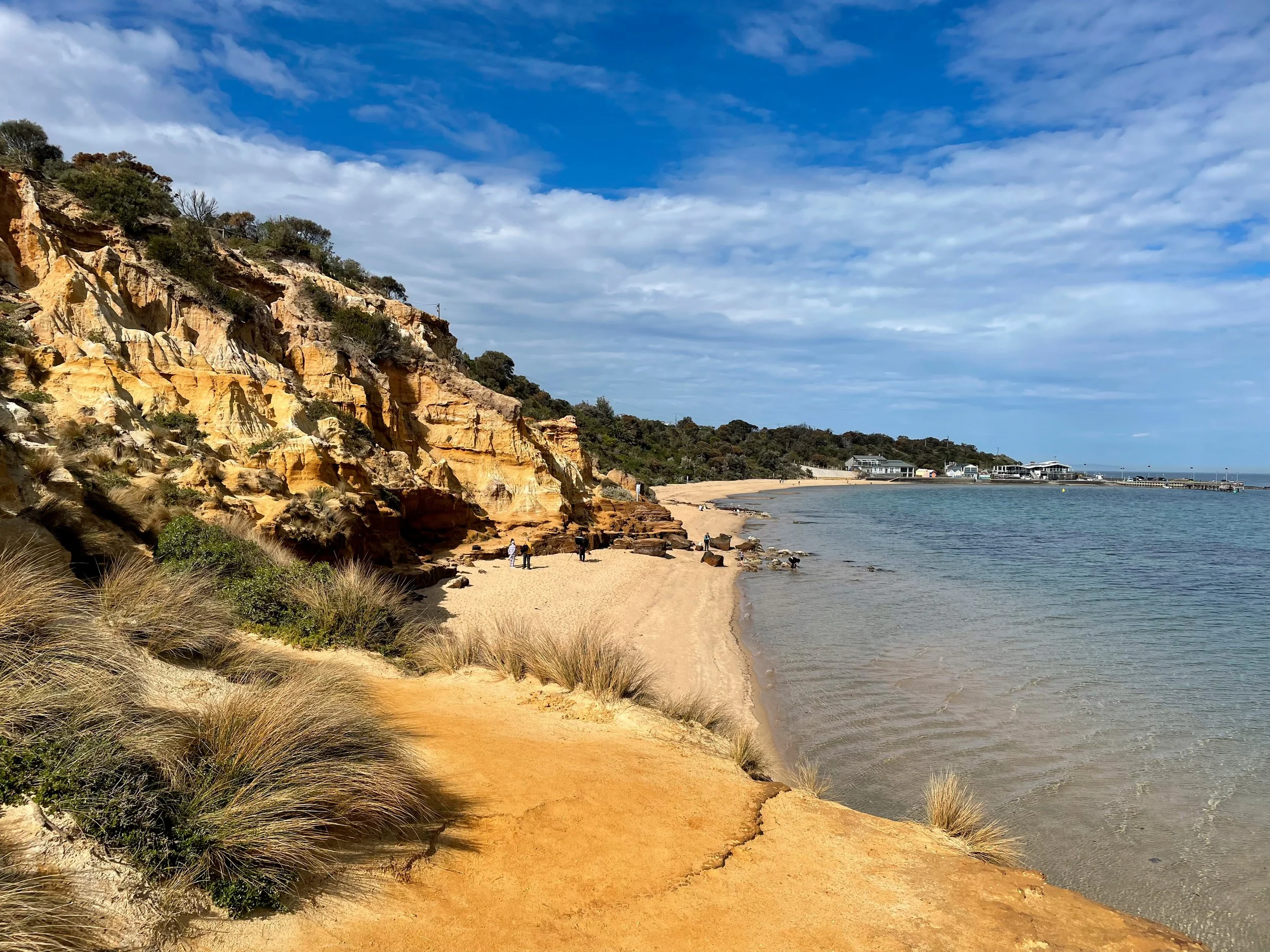 7 Dec, 10:30am Coastal Walk &amp; Talk