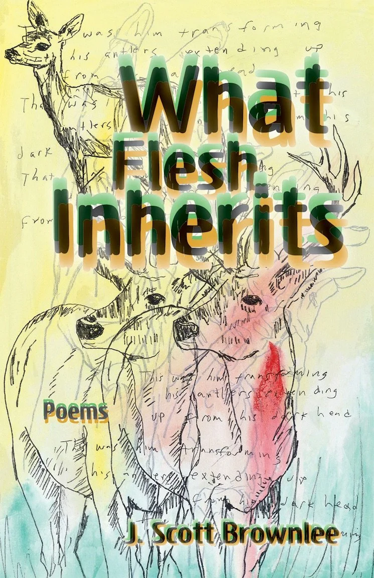 What Flesh Inherits Book Cover