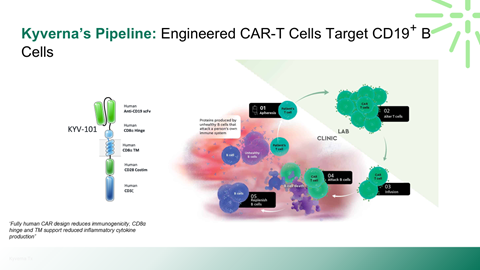 Diagram illustrating Kyerna's pipeline for engineered CAR-T cells targeting CD19 positive B cells, showing stages from lab processing to clinical application.