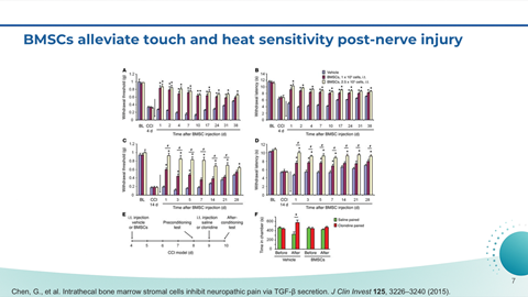 Graphs showing the effects of BMSCs on touch and heat sensitivity after nerve injury, with bar charts comparing different groups, including saline and BMSCs treatments, and a legend for sensory responses.