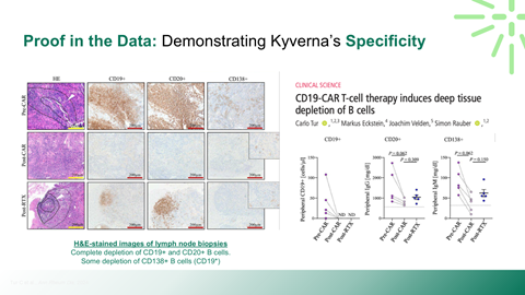Scientific poster detailing proof in data demonstrating Kyverna's specificity, including H&E-stained images of lymph node biopsies showing CD19 and CD20 B-cell depletion, and a graph showing clinical science results of CD19-CAR T cell therapy inducin