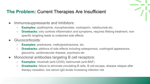 A presentation slide discussing the problem of insufficient current therapies for autoimmune diseases. It covers immunosuppressants and inhibitors, glucocorticoids, and monoclonal antibodies targeting B cell receptors. Each section lists examples and