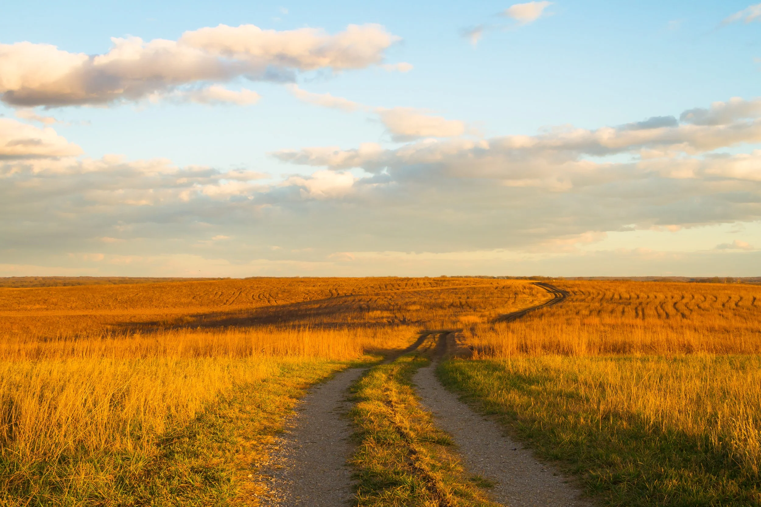A dirt road winding through a golden grassy field under a partly cloudy sky during sunset.