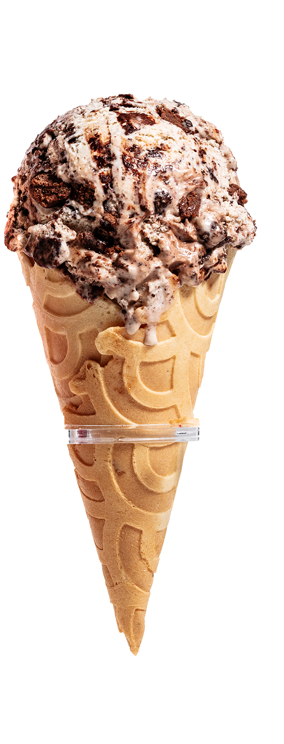 Chocolate chip ice cream scoop in a waffle cone.