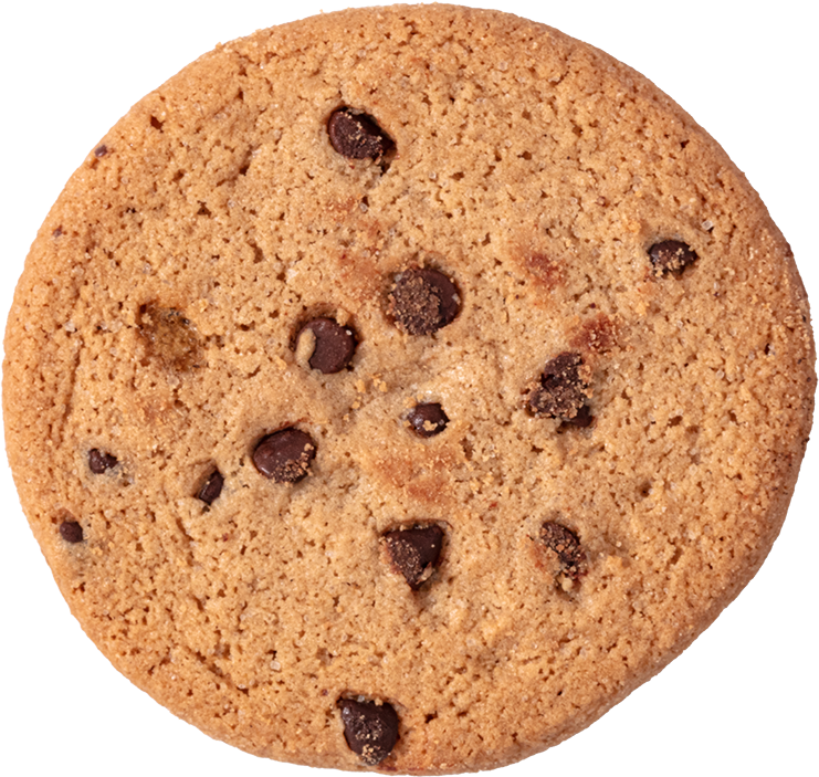 A close-up of a chocolate chip cookie with visible chocolate chips on a white background.