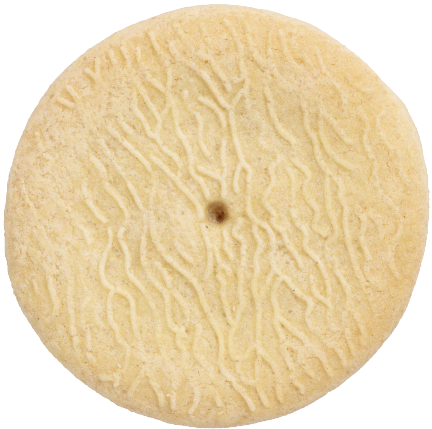 A round, light-colored cookie with a central dark spot and a textured pattern of zigzag lines.