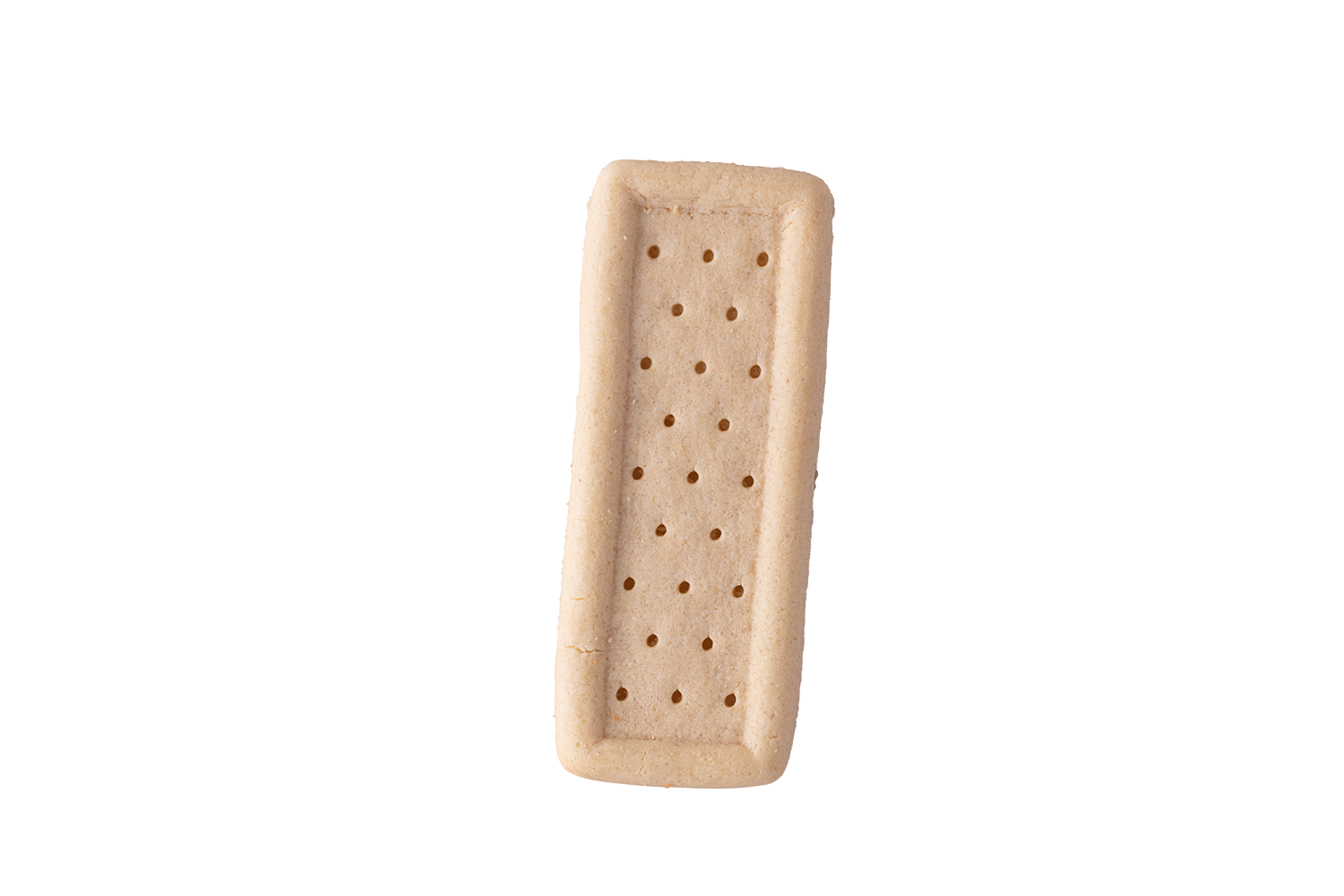 A single rectangular salted cracker with small holes around the center, isolated on a white background.