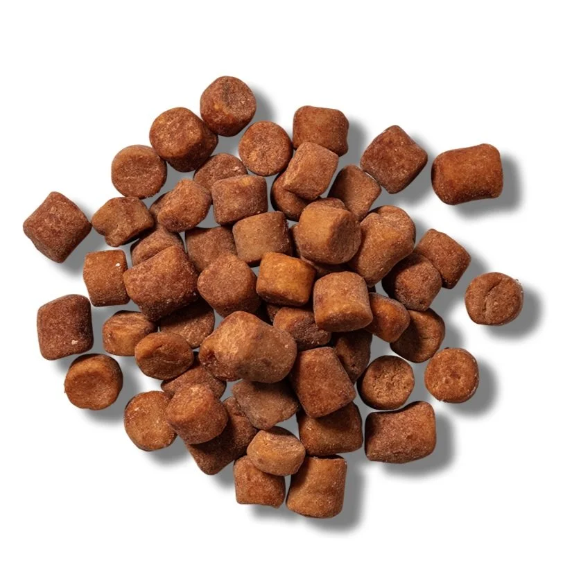Snickerdoodle DoBites