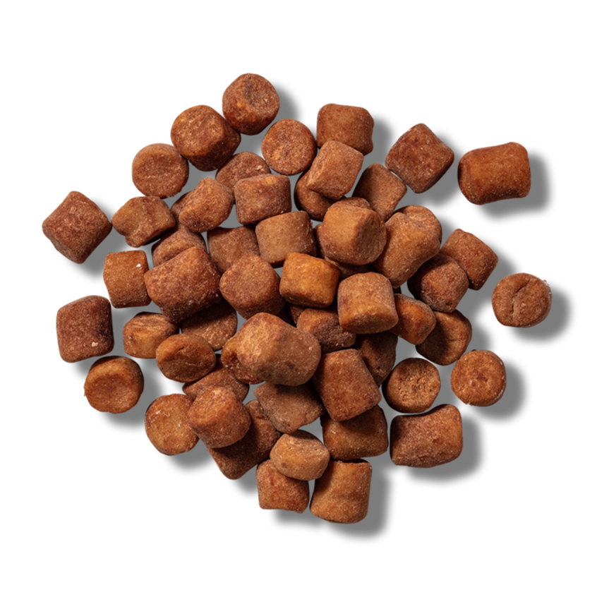 Close-up of small brown dog kibble pieces on a black background.